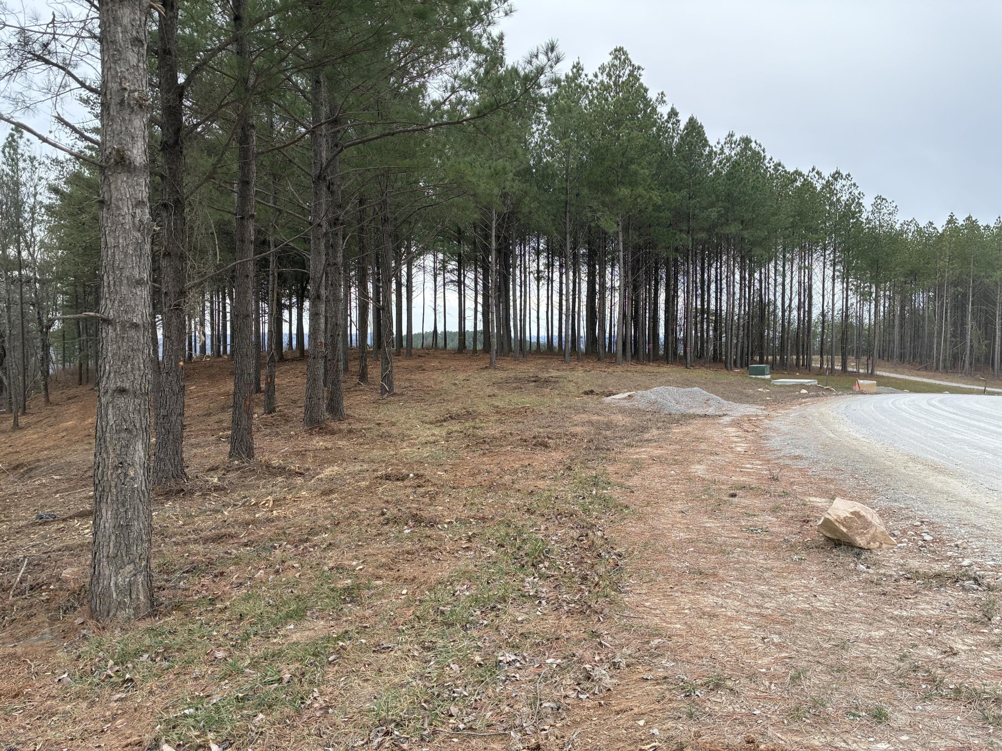 4690 Split Rail Way Property Photo 8