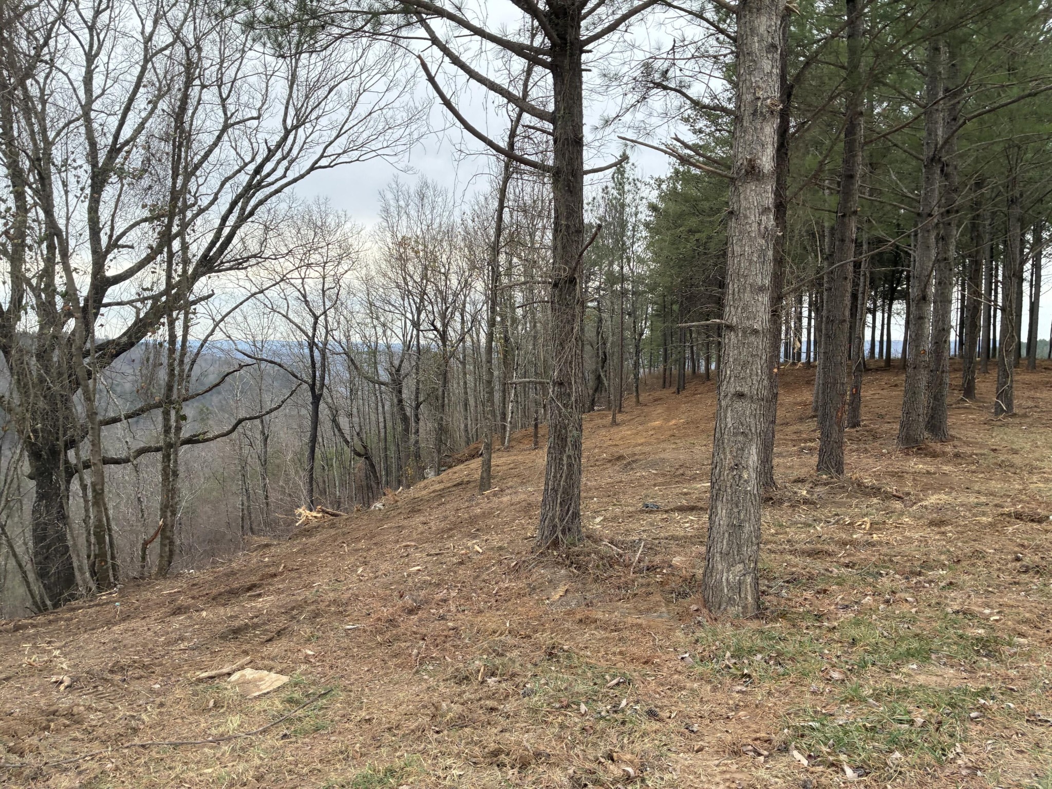 4690 Split Rail Way Property Photo 9