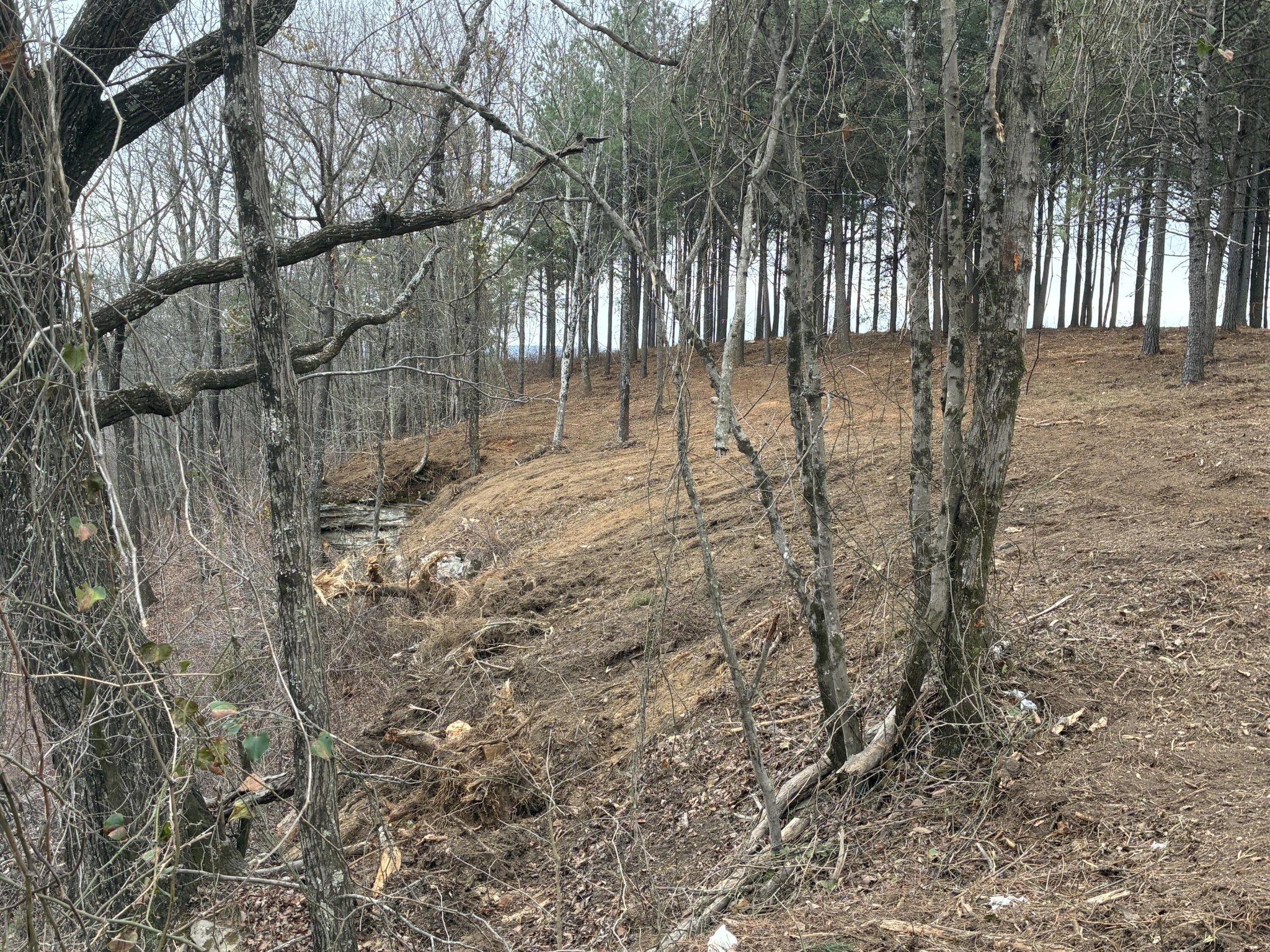 4690 Split Rail Way Property Photo 10