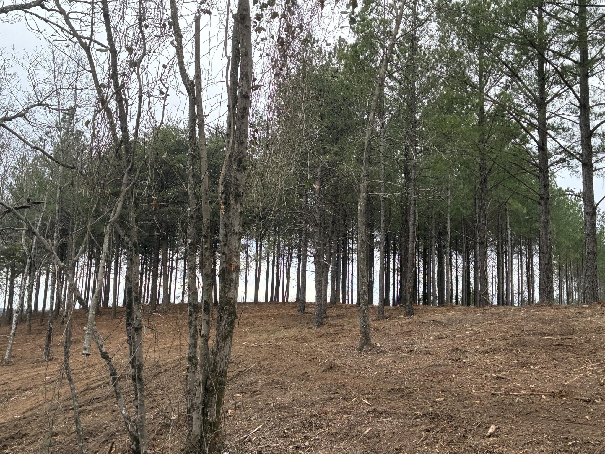 4690 Split Rail Way Property Photo 11