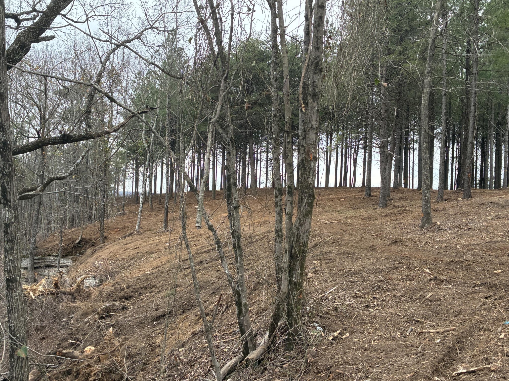 4690 Split Rail Way Property Photo 12