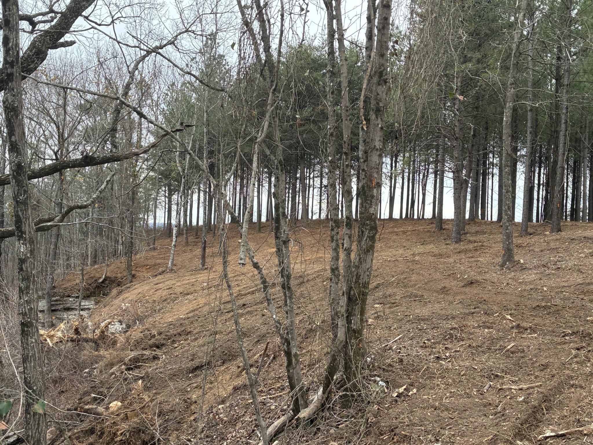 4690 Split Rail Way Property Photo 13