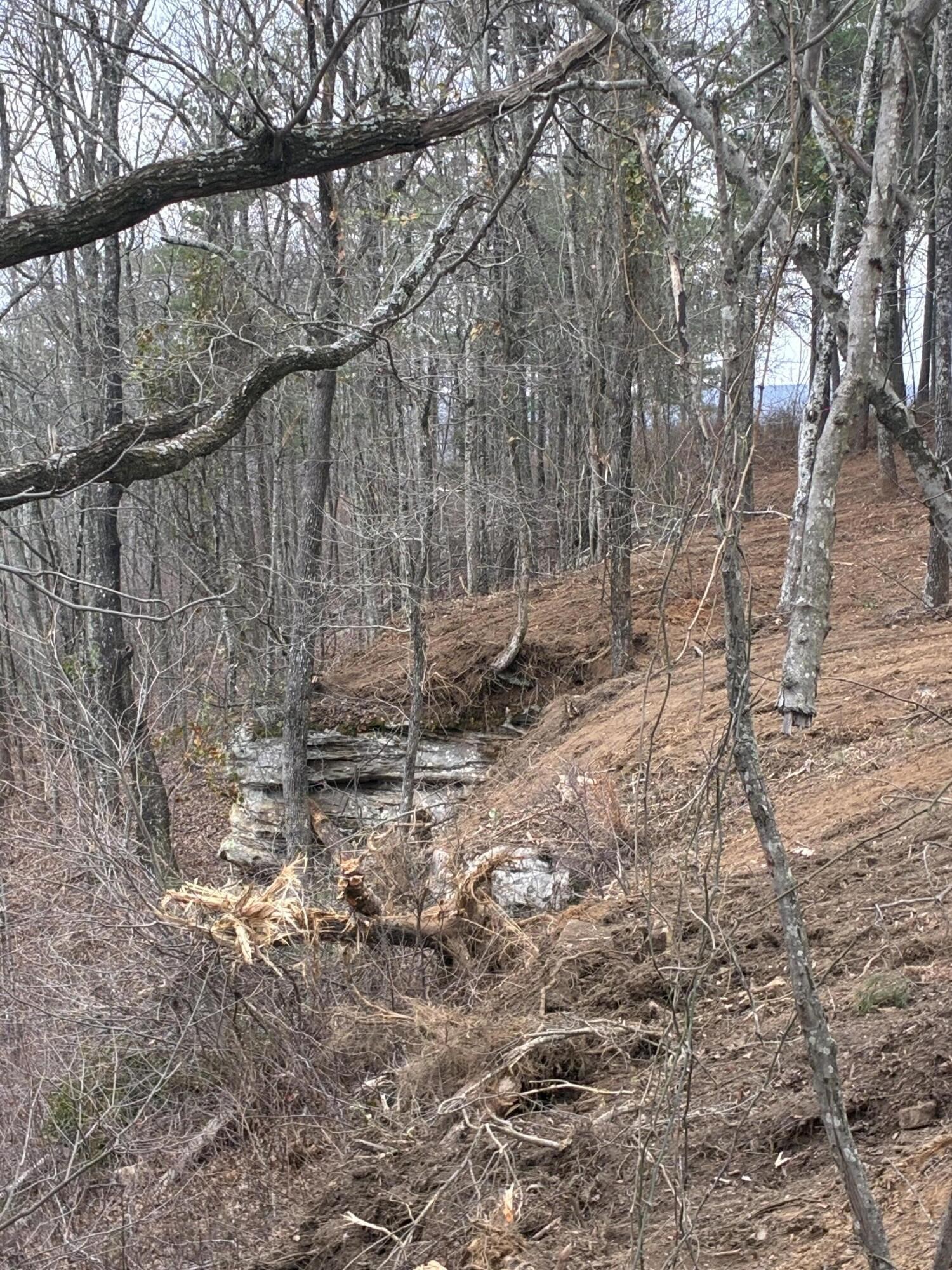 4690 Split Rail Way Property Photo 14