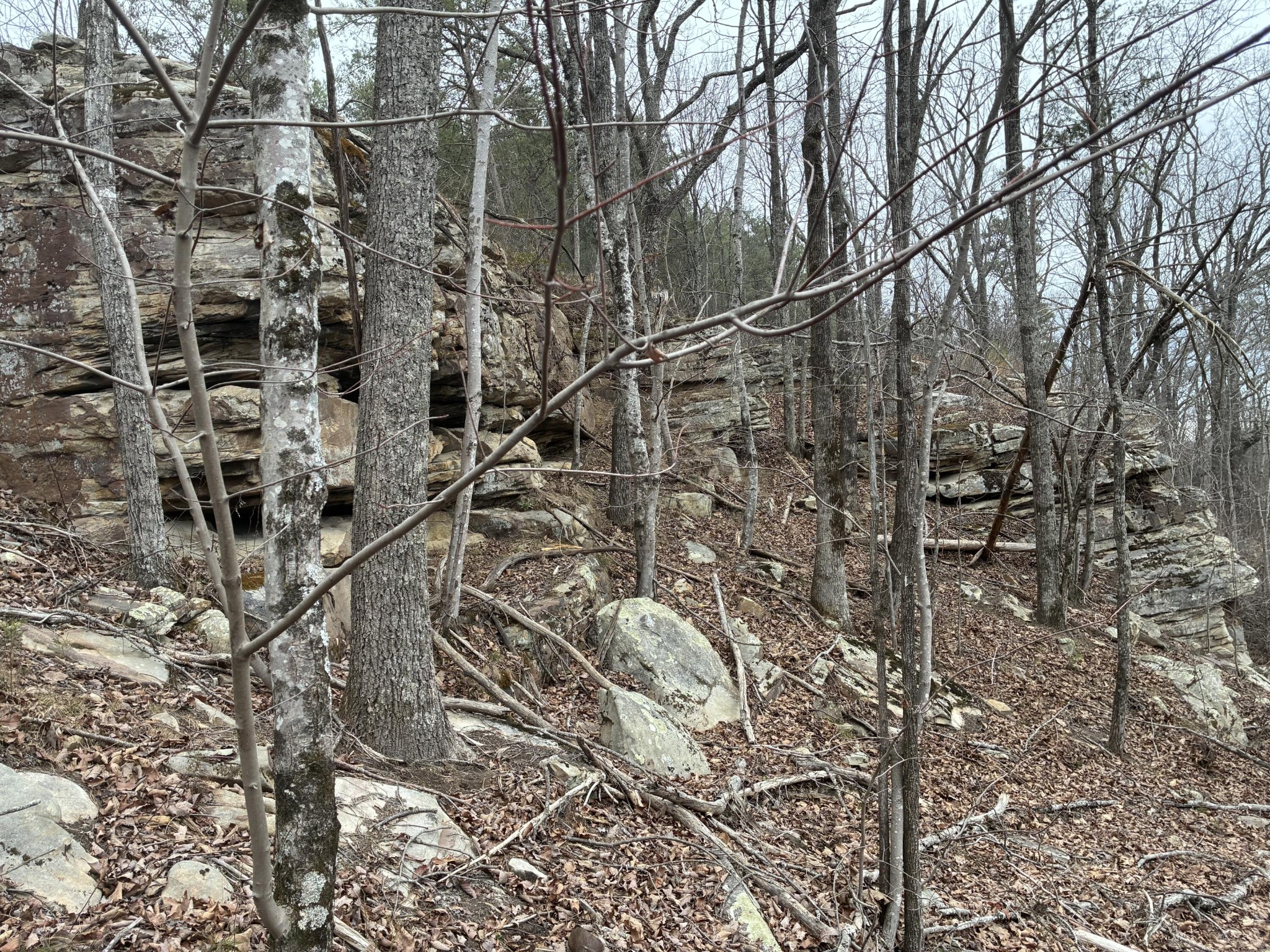 4690 Split Rail Way Property Photo 15