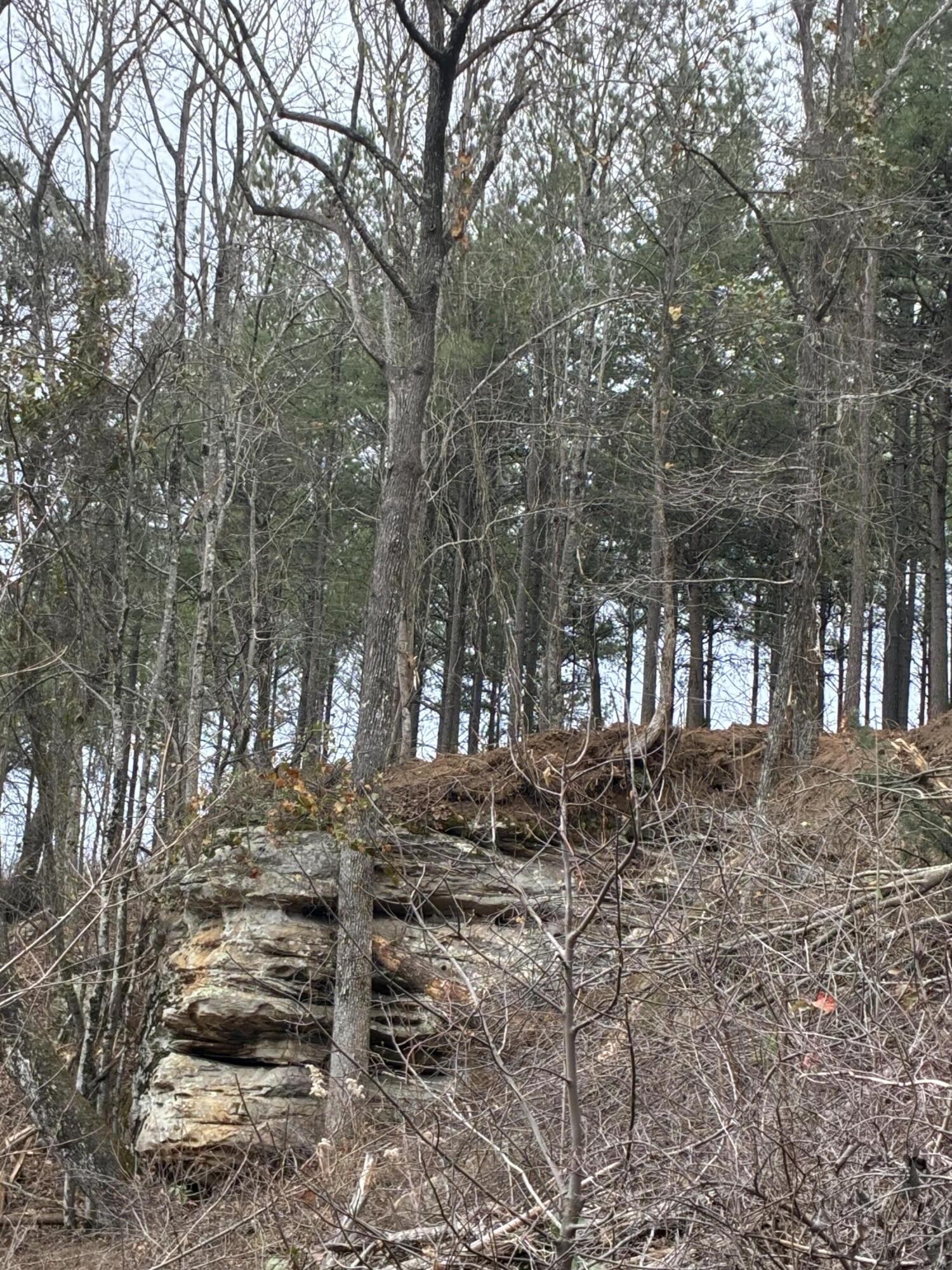 4690 Split Rail Way Property Photo 16
