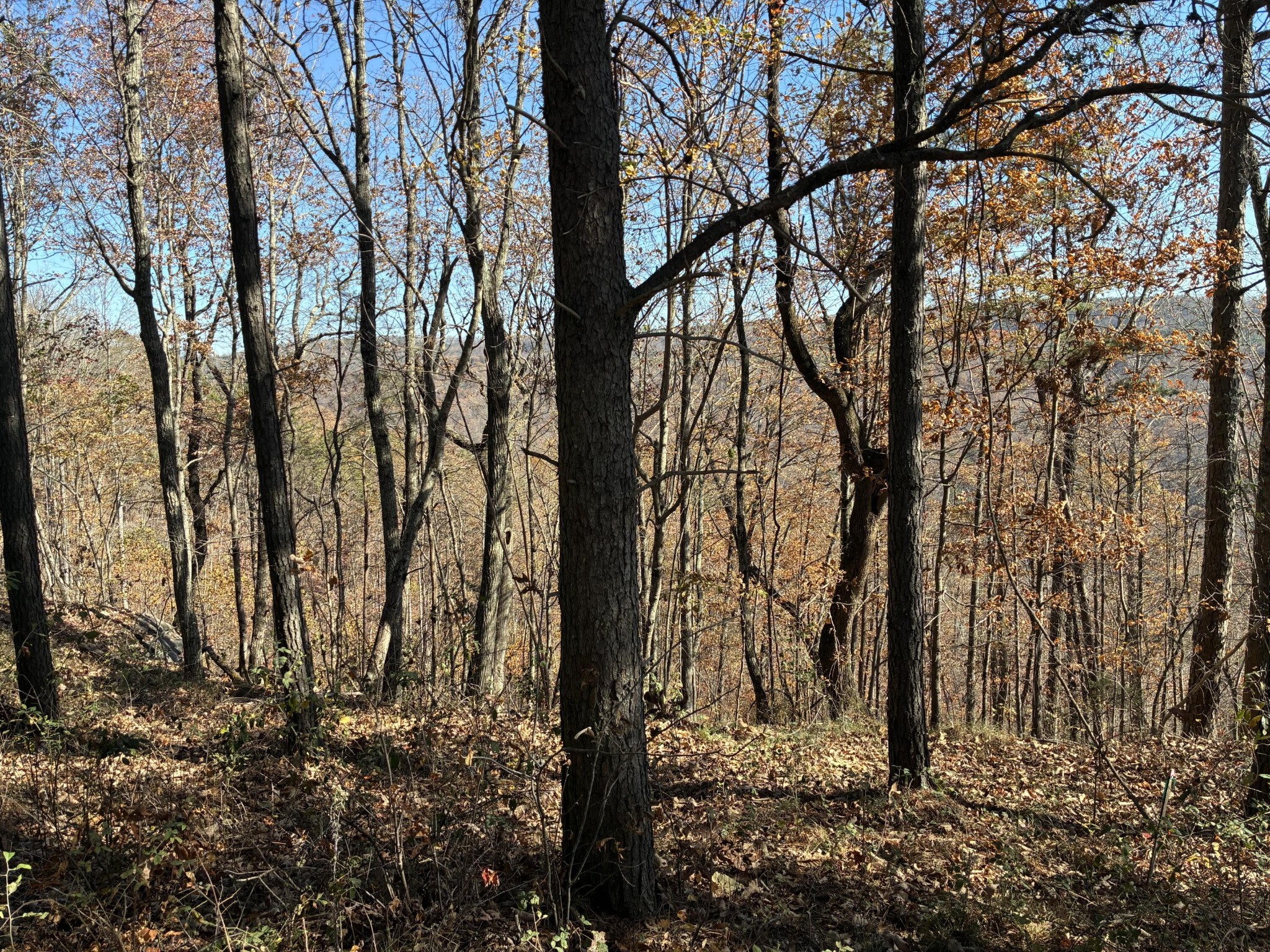4690 Split Rail Way Property Photo 25