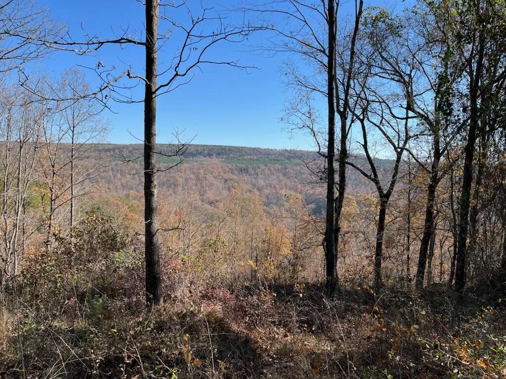 4690 Split Rail Way Property Photo 26