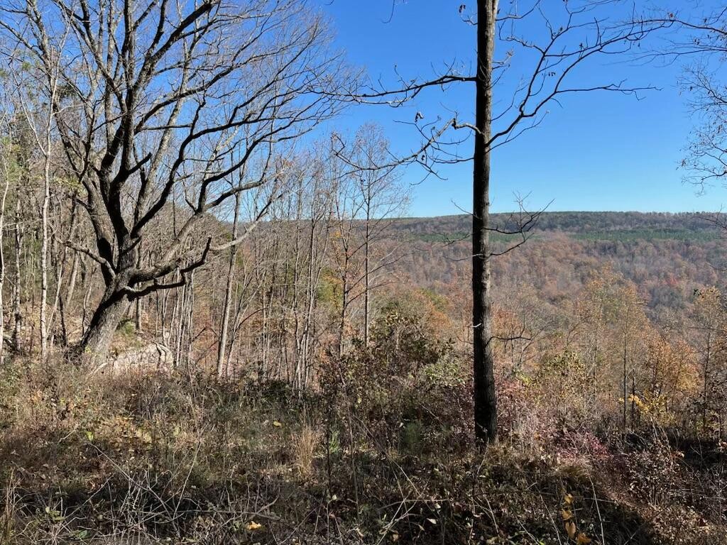 4690 Split Rail Way Property Photo 27