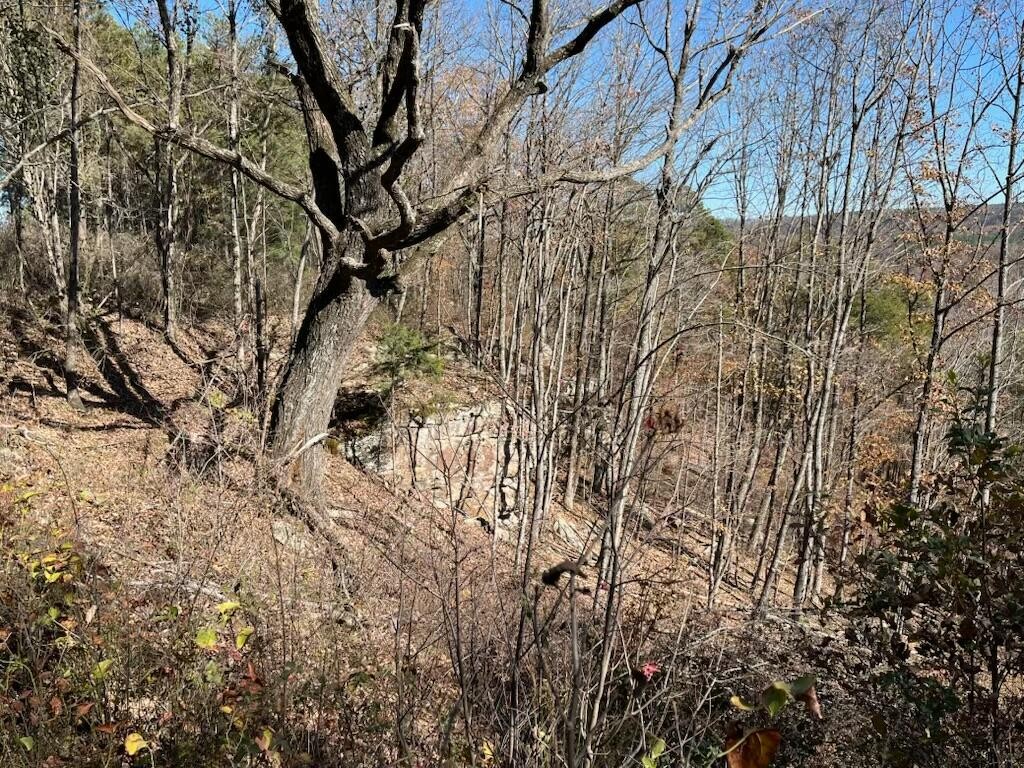 4690 Split Rail Way Property Photo 29