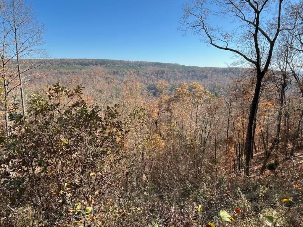 4690 Split Rail Way Property Photo 31