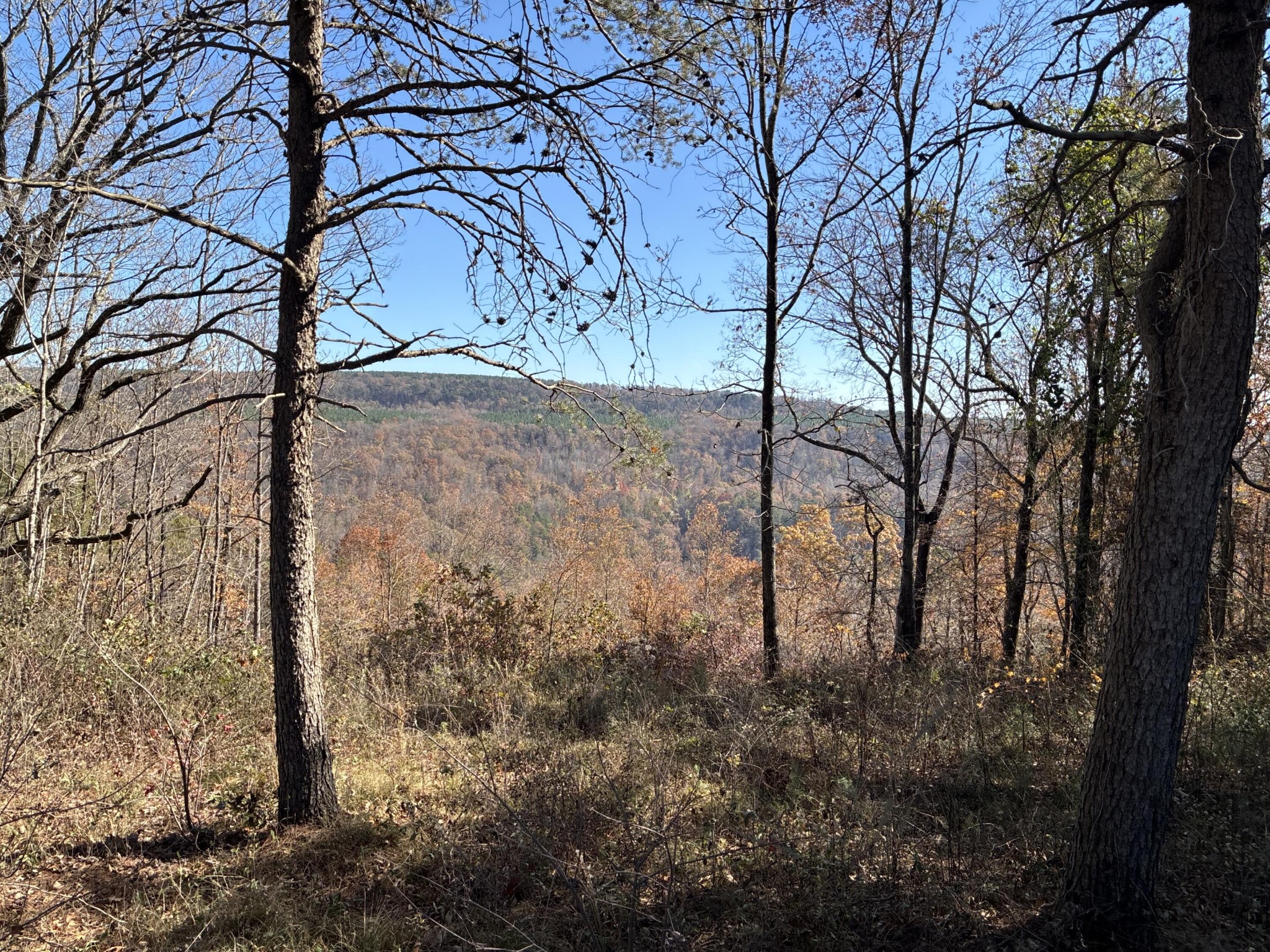 4690 Split Rail Way Property Photo 32