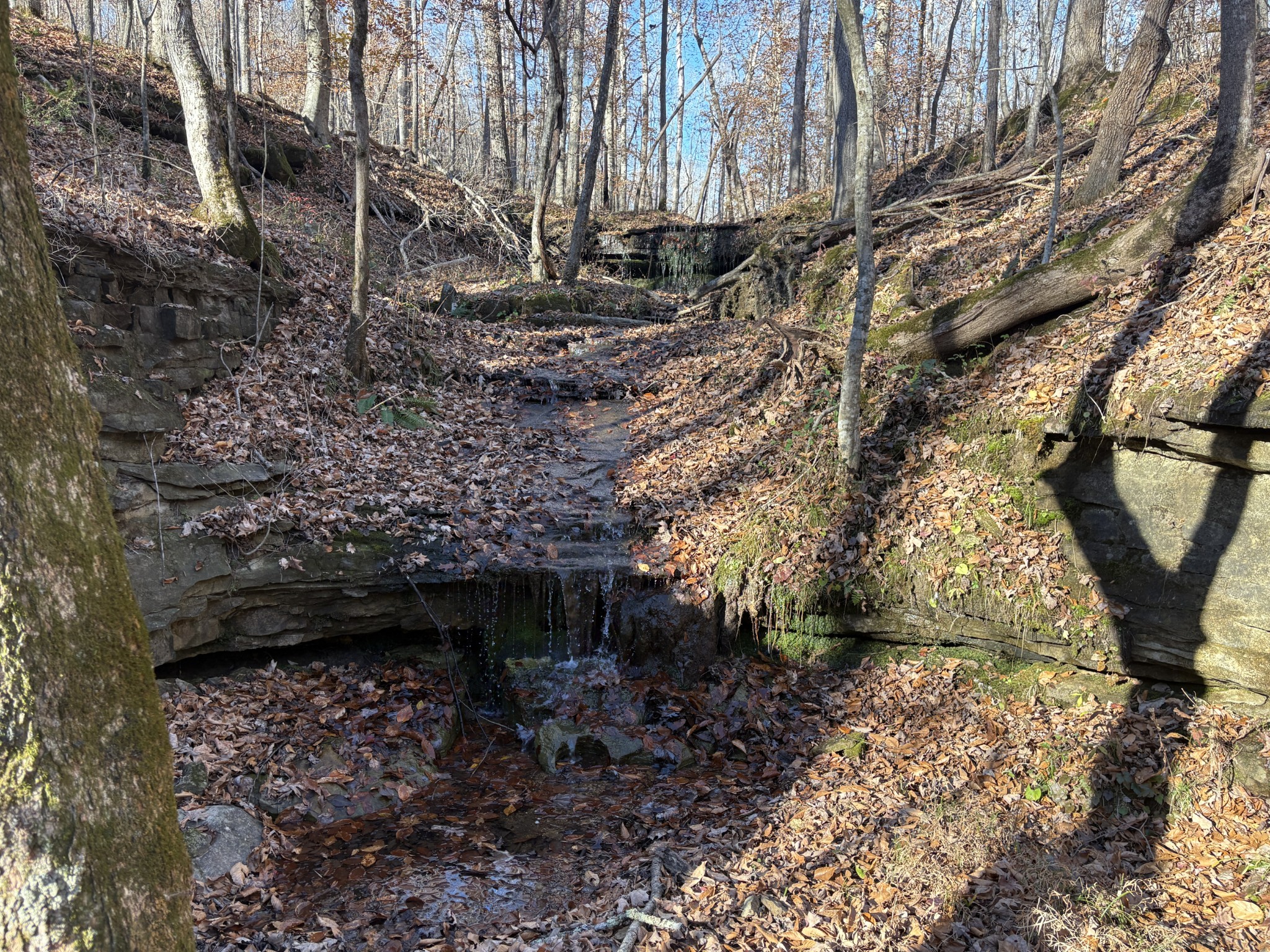 0 Pigpen Hollow Rd Property Photo 1