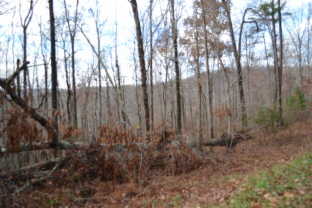0 Tomahawk Rd Property Photo 2