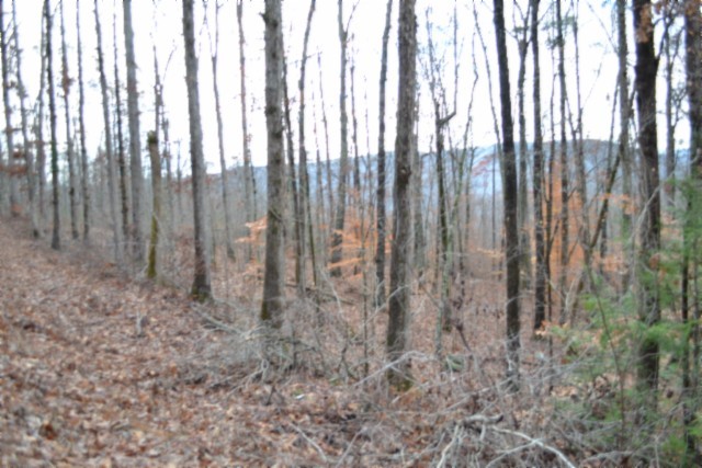 0 Tomahawk Rd Property Photo 16