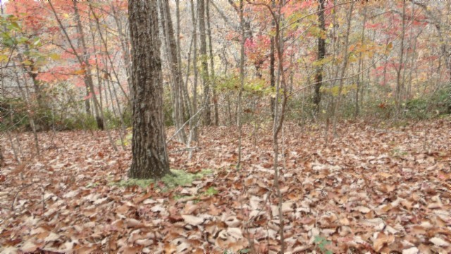0 Drew Court Property Photo 1