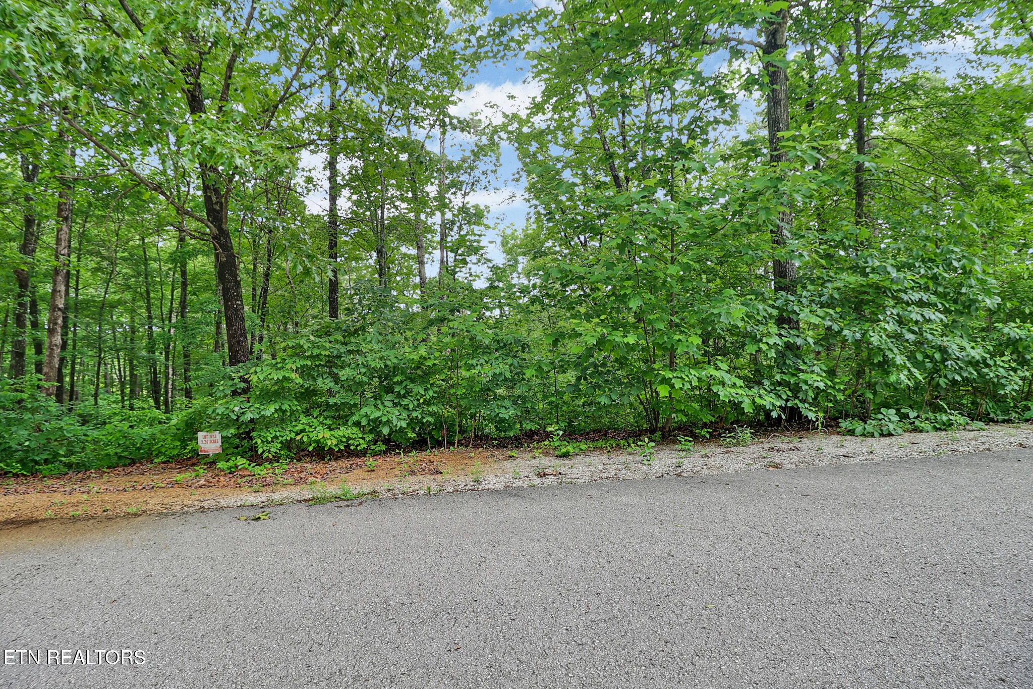 0 Eagle Bluff Property Photo 6