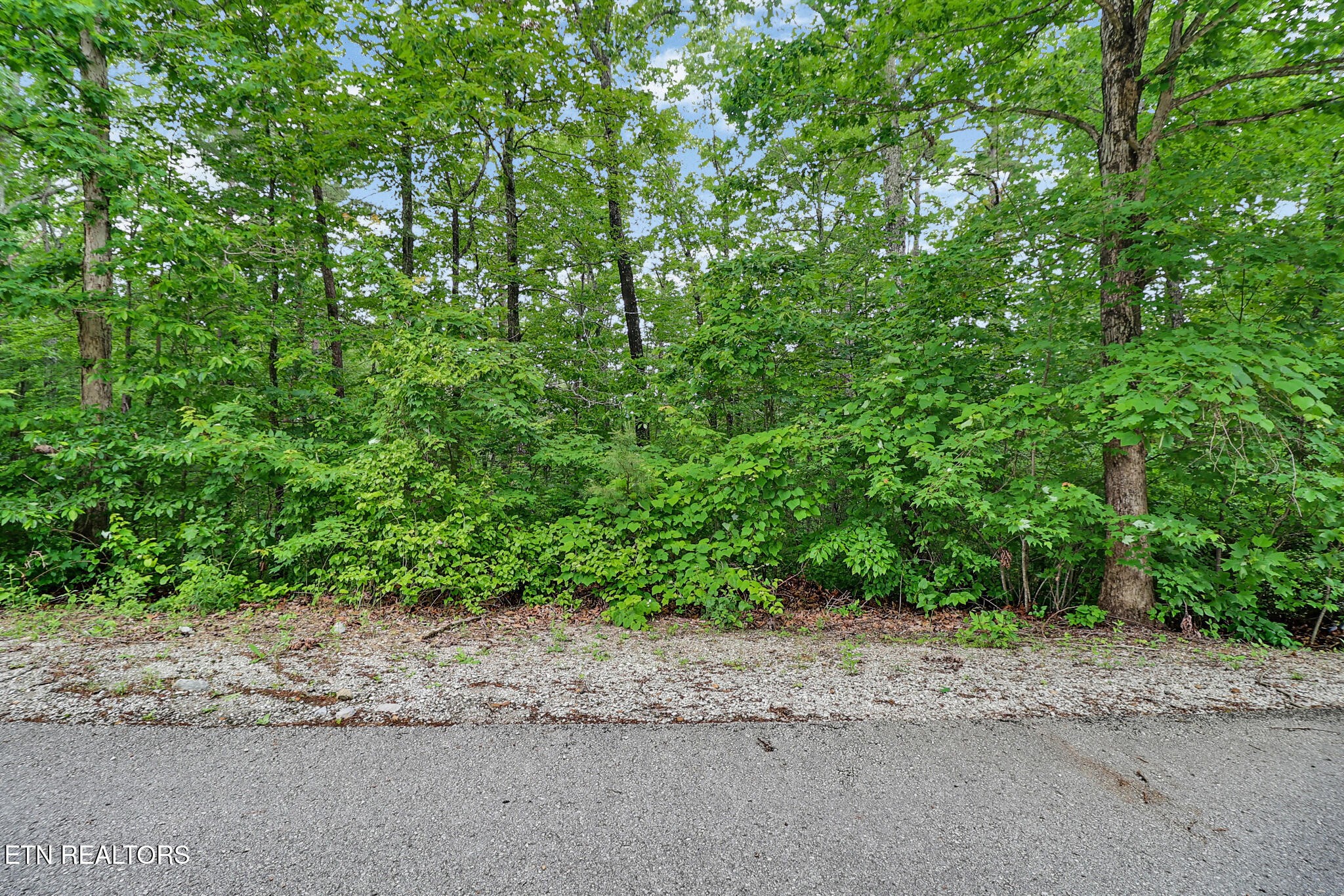0 Eagle Bluff Property Photo 9