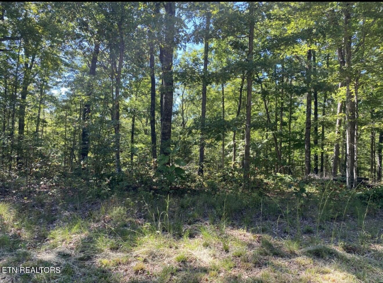 0 Eagle Bluff Property Photo 16