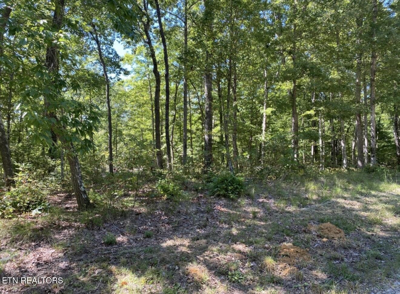 0 Eagle Bluff Property Photo 18