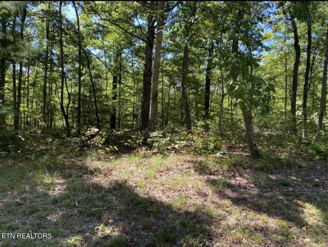 0 Eagle Bluff Property Photo 19