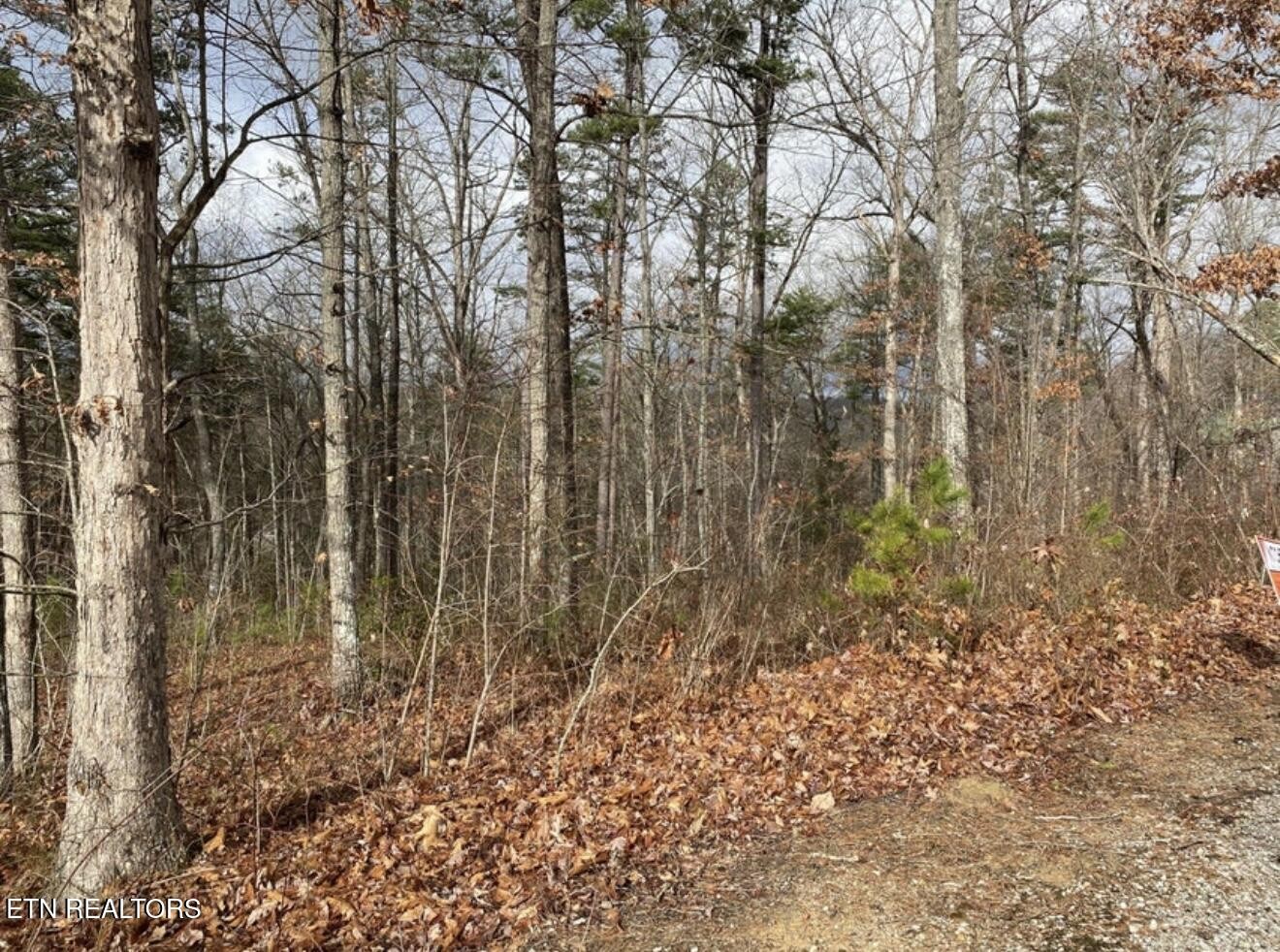 0 Eagle Bluff Property Photo 30