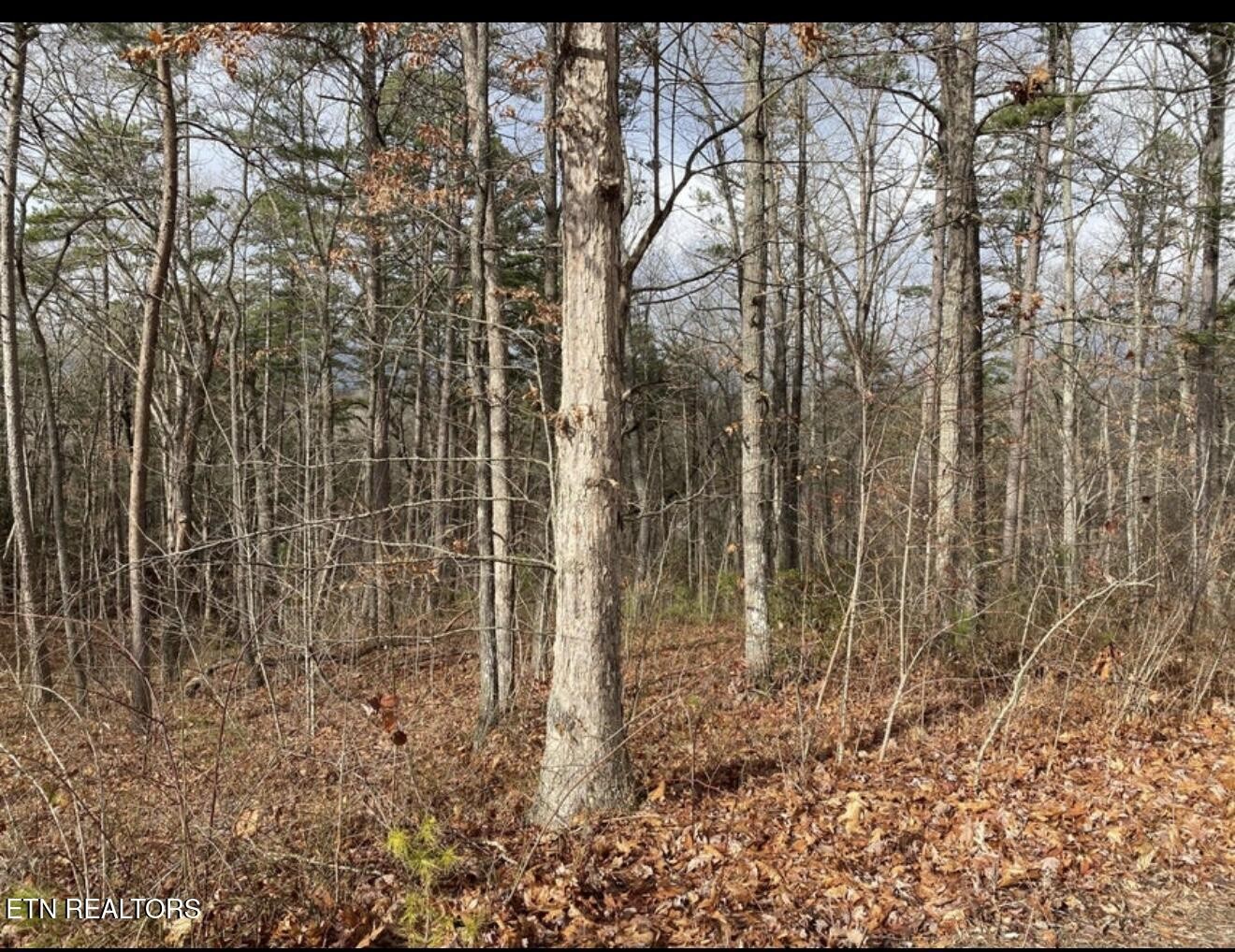 0 Eagle Bluff Property Photo 31