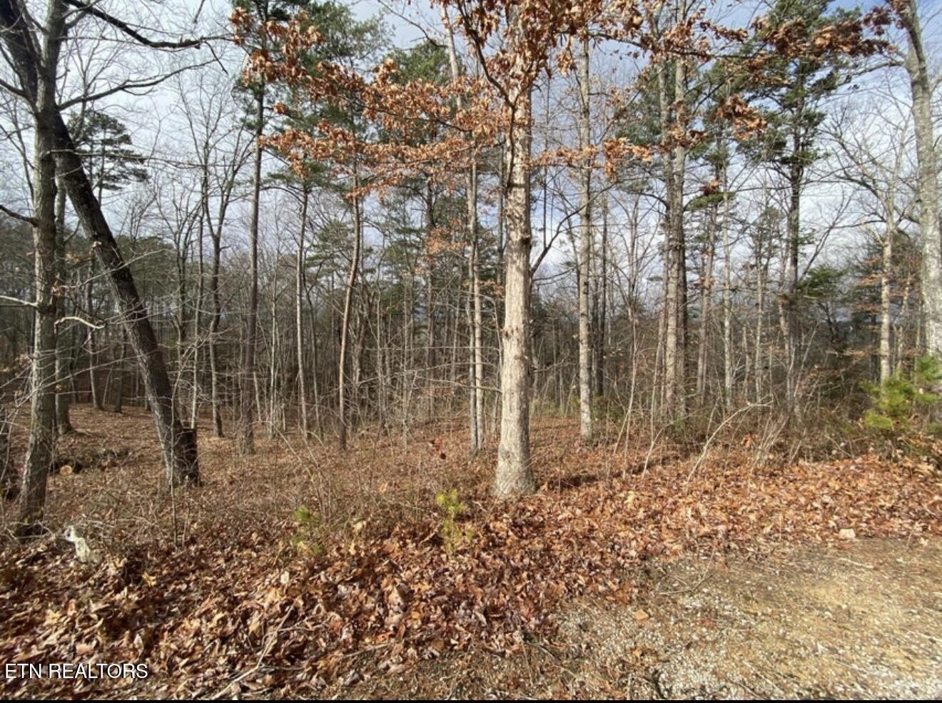 0 Eagle Bluff Property Photo 32