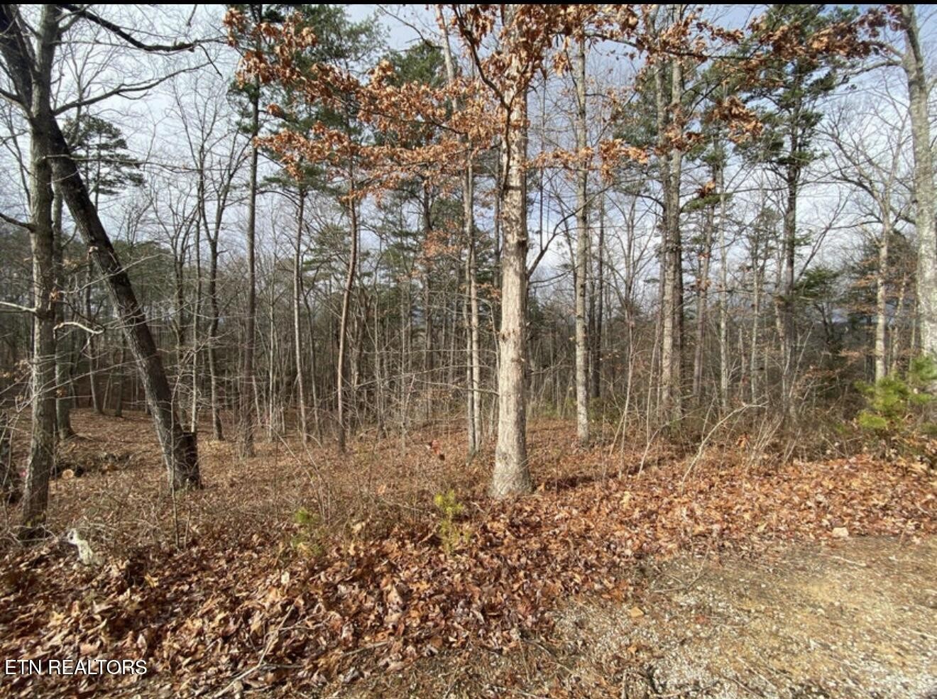 0 Eagle Bluff Property Photo 33