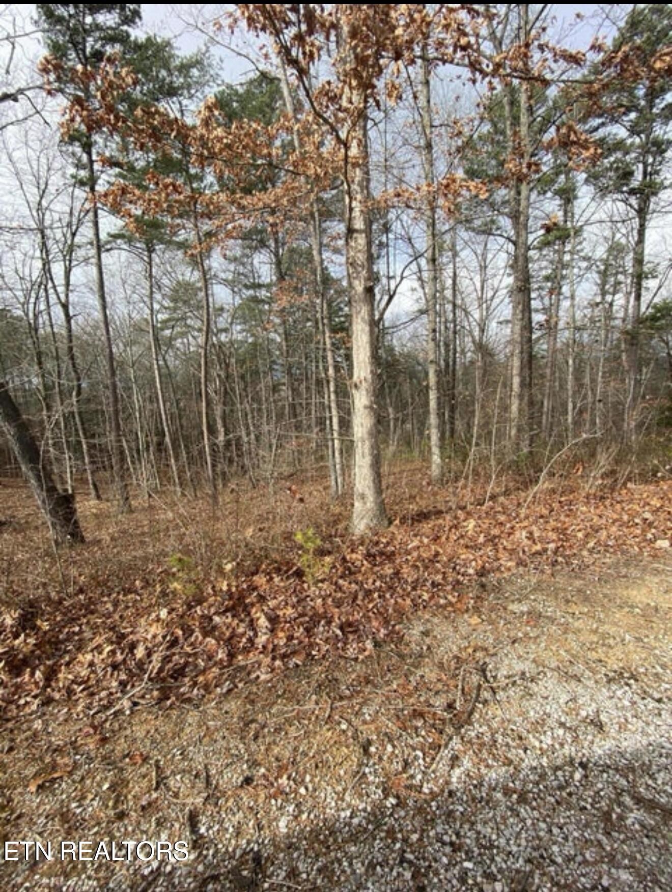 0 Eagle Bluff Property Photo 34