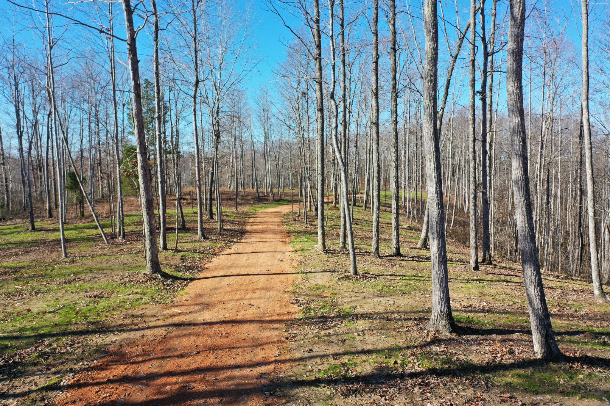 0 Bell Branch Road Property Photo 1
