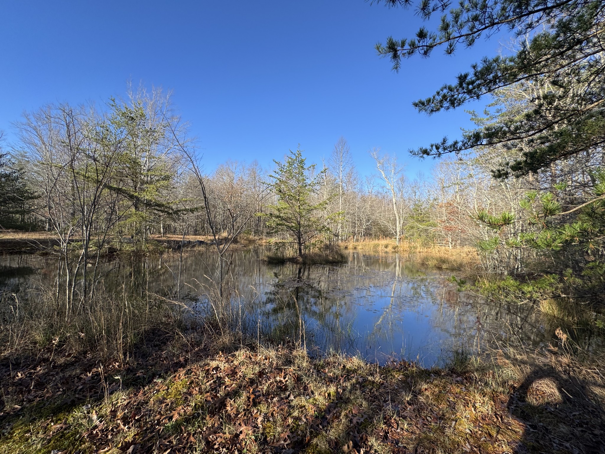 224 Azalea Ridge Rd