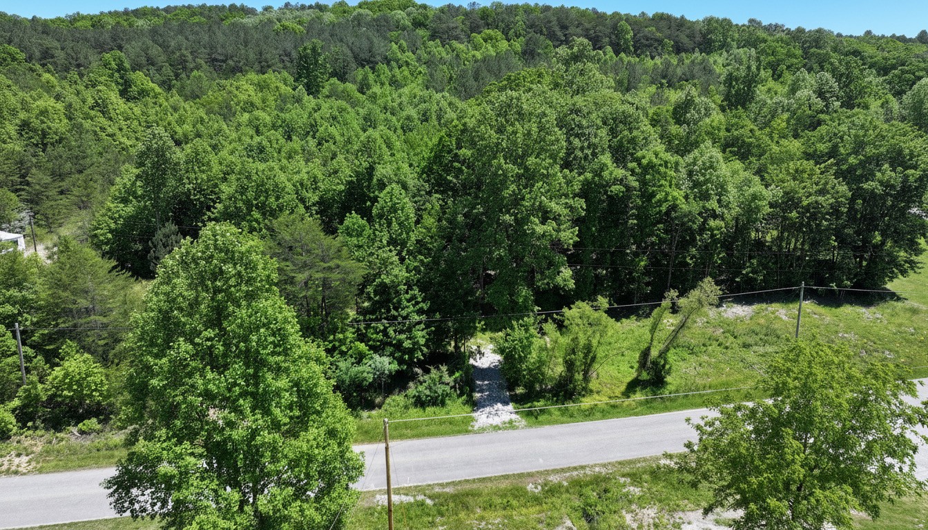 0 Browns Hollow Rd Property Photo 3