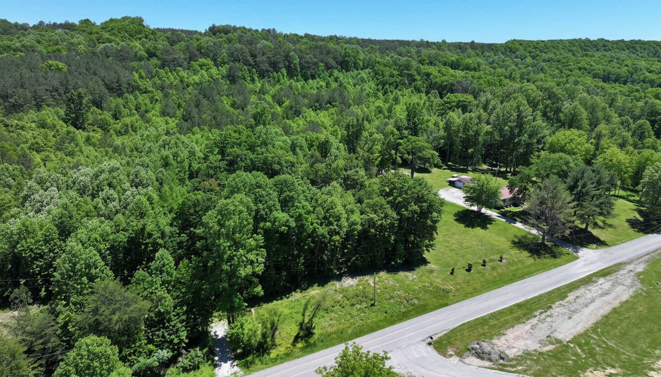 0 Browns Hollow Rd Property Photo 11
