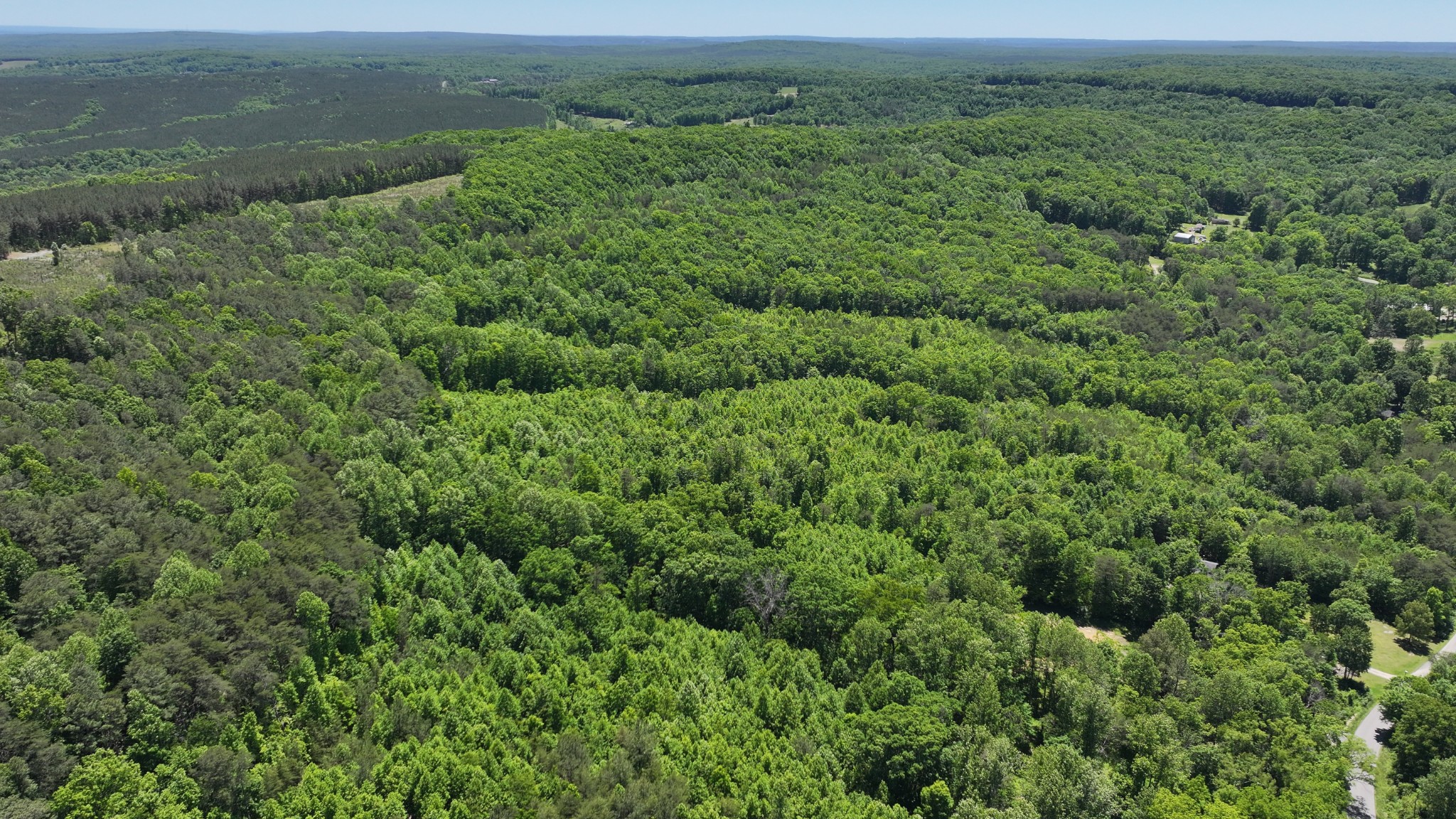 0 Browns Hollow Rd Property Photo 12