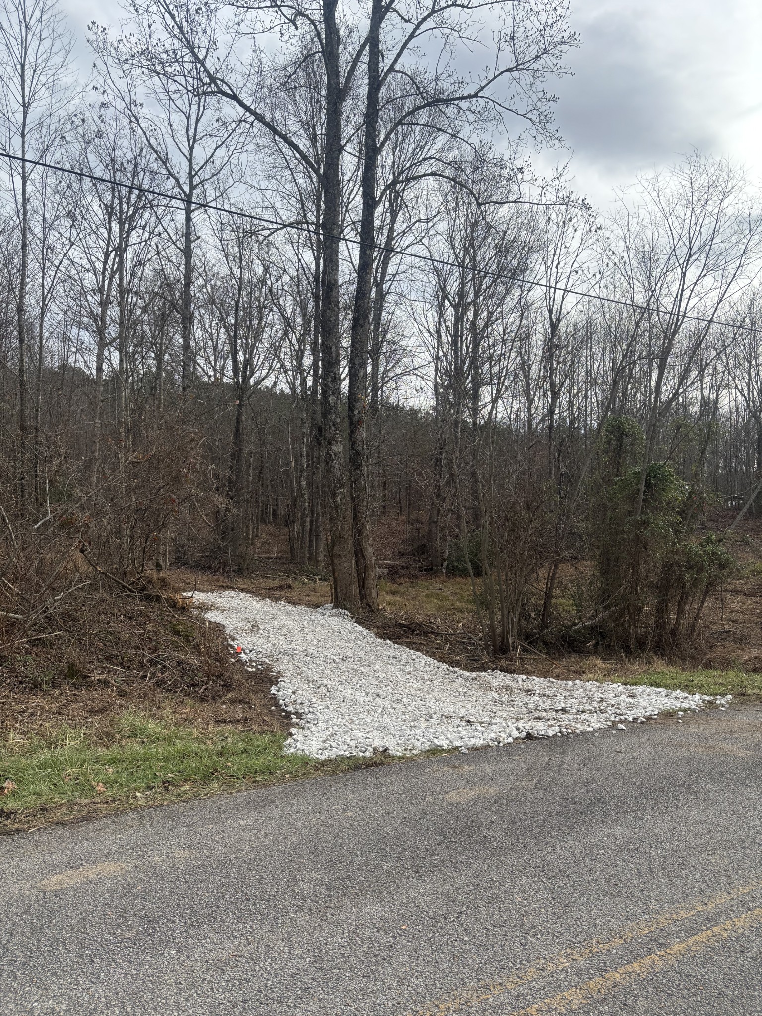 0 Browns Hollow Rd Property Photo 16