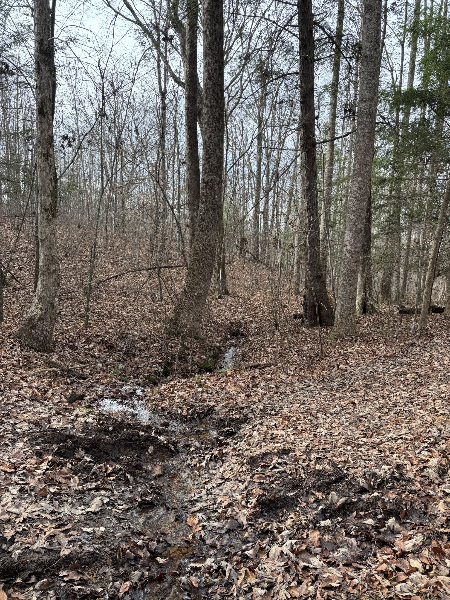 0 Browns Hollow Rd Property Photo 22