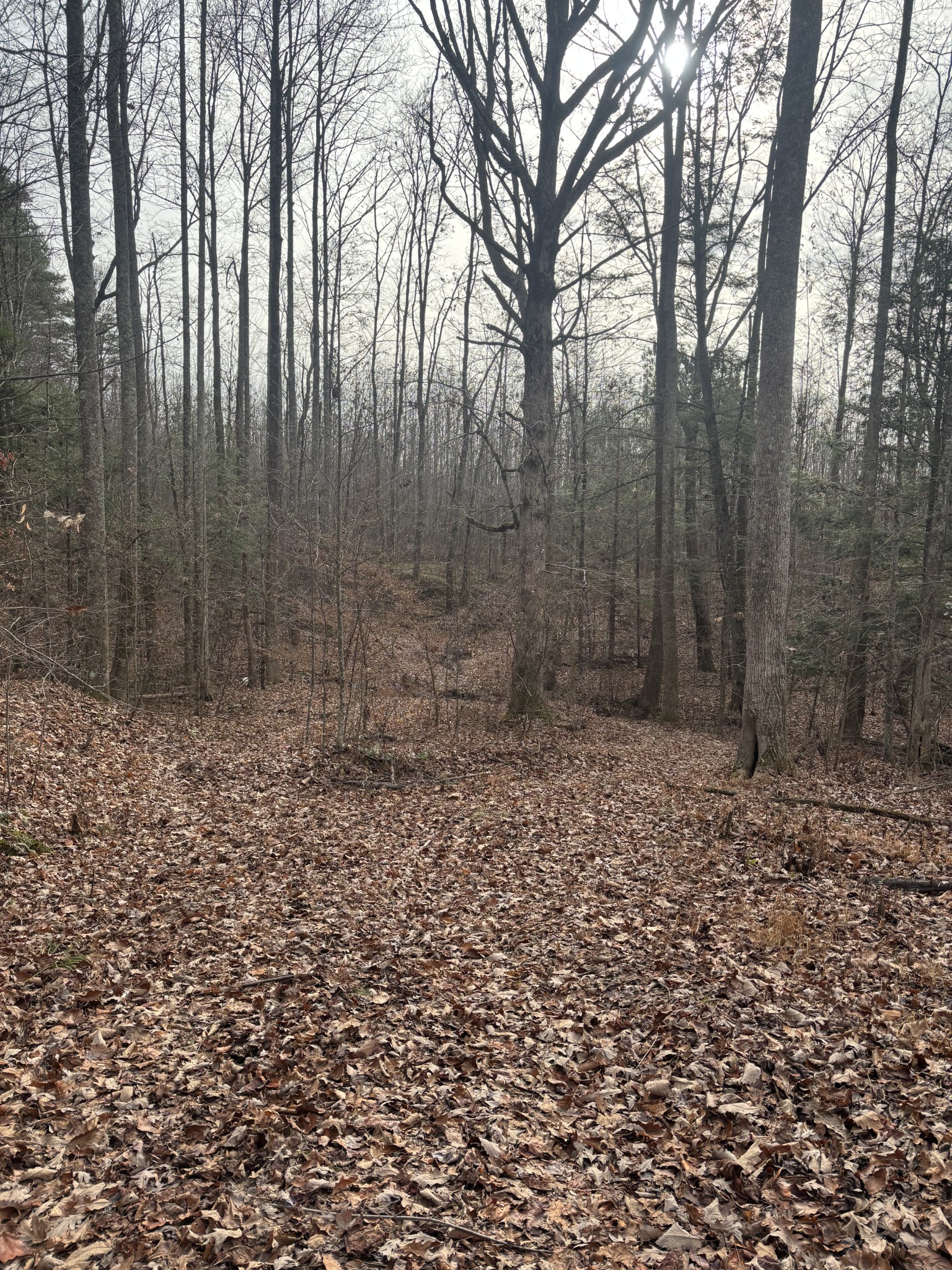 0 Browns Hollow Rd Property Photo 23