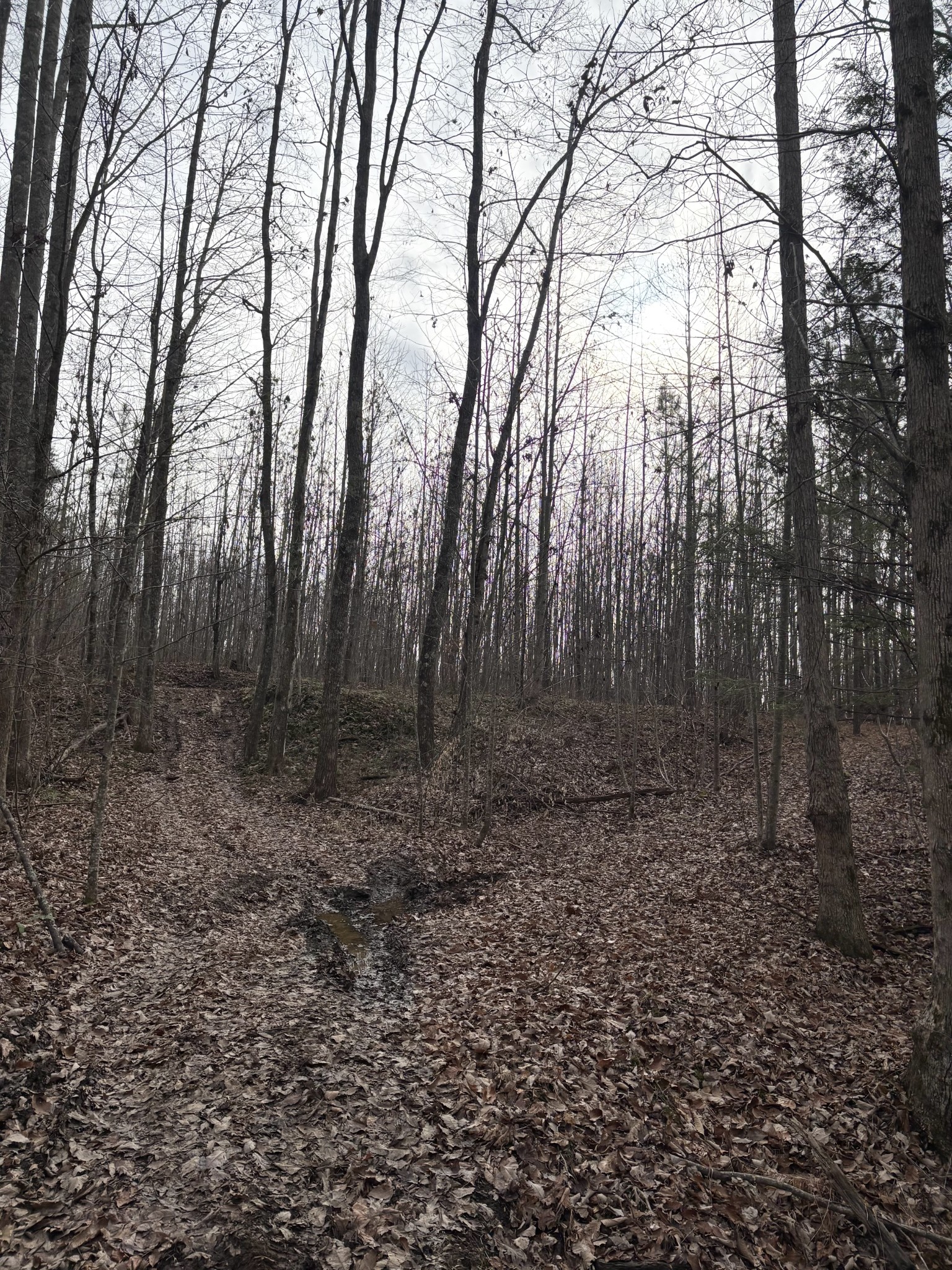 0 Browns Hollow Rd Property Photo 25