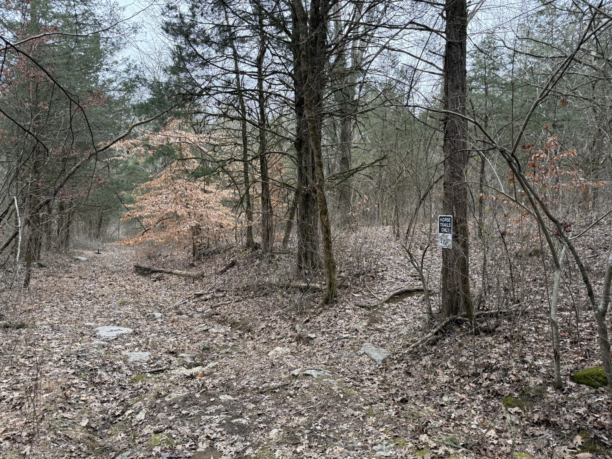 0 Cook Ln Property Photo 2