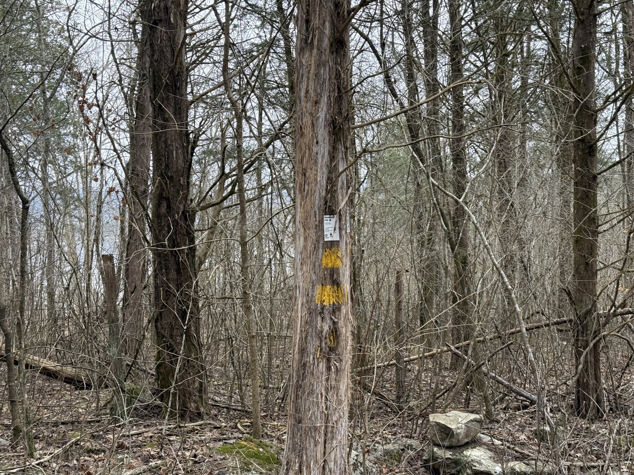 0 Cook Ln Property Photo 17