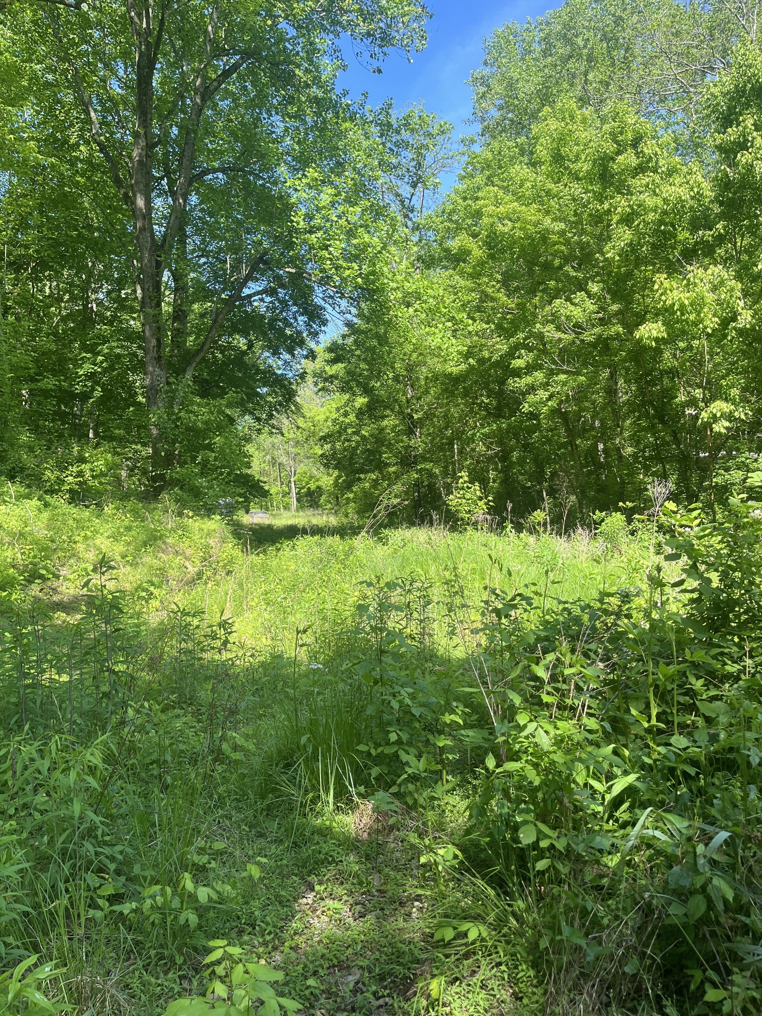 0 Hawkins Rd Property Photo 2