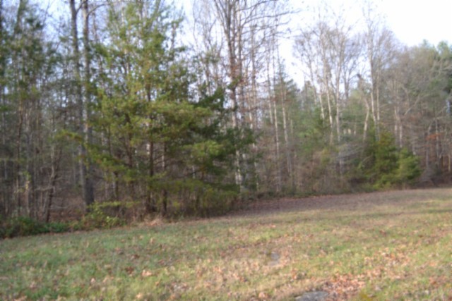 0 Shotgun Annie Rd Property Photo 1