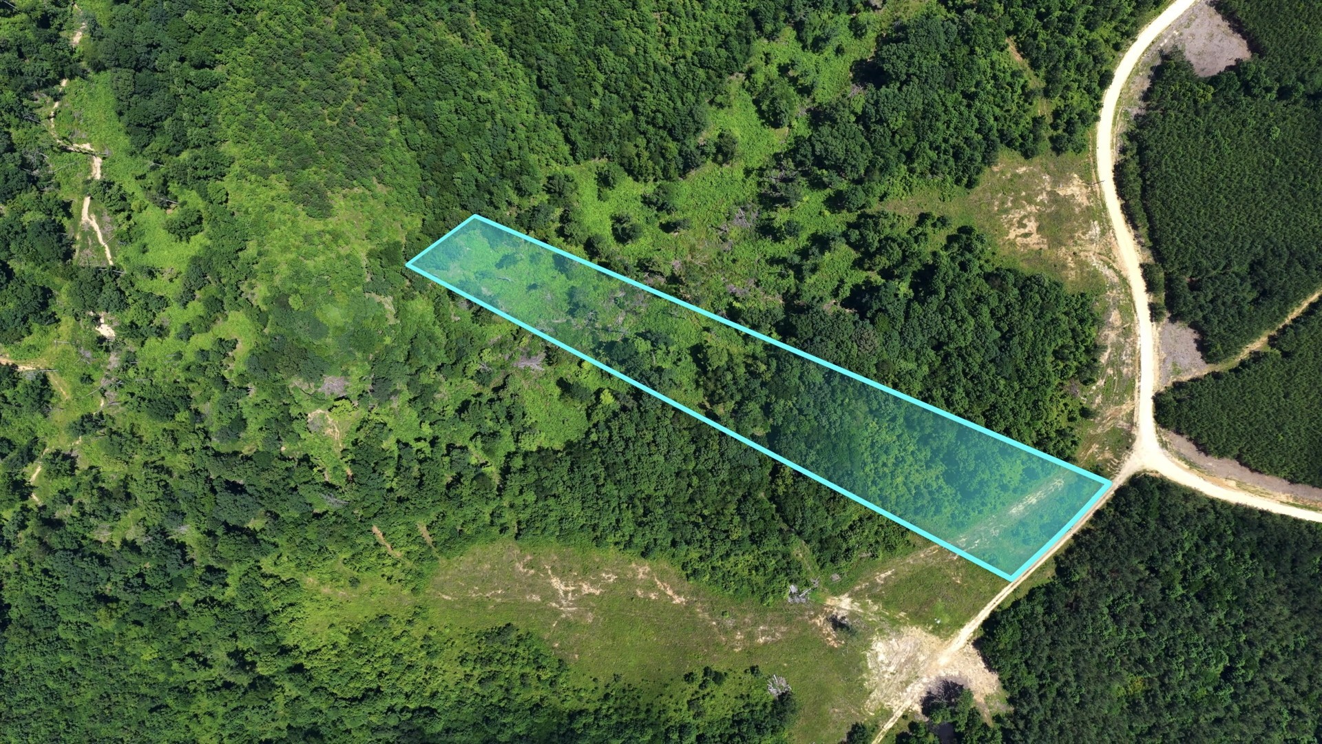 0 Cox Hollow Property Photo 12