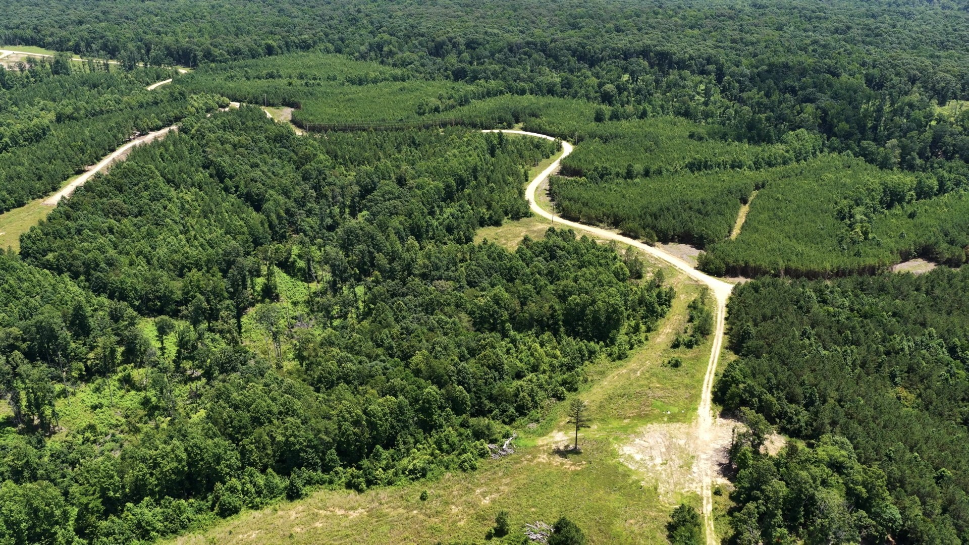 0 Cox Hollow Property Photo 14