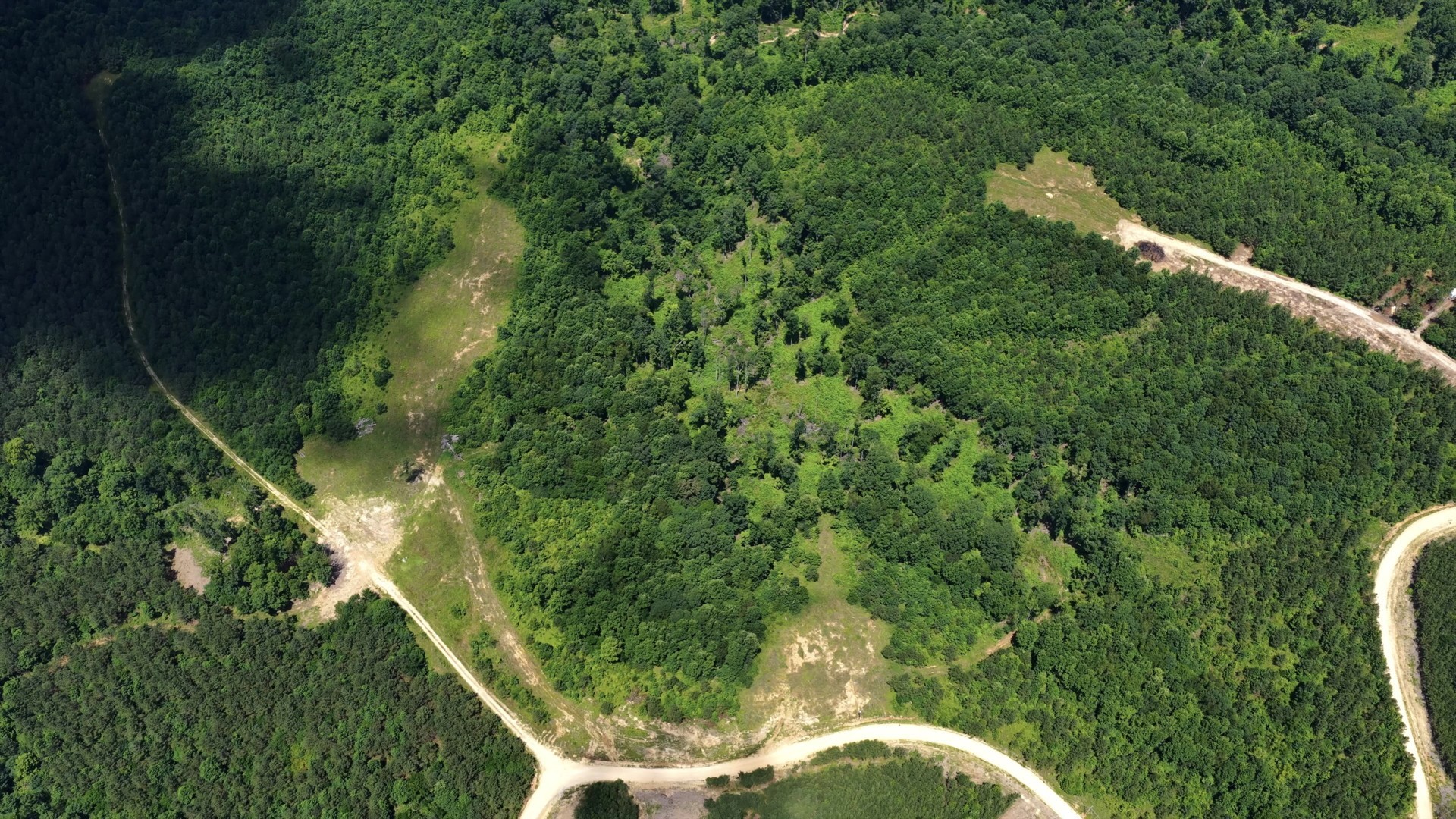 0 Cox Hollow Property Photo 15