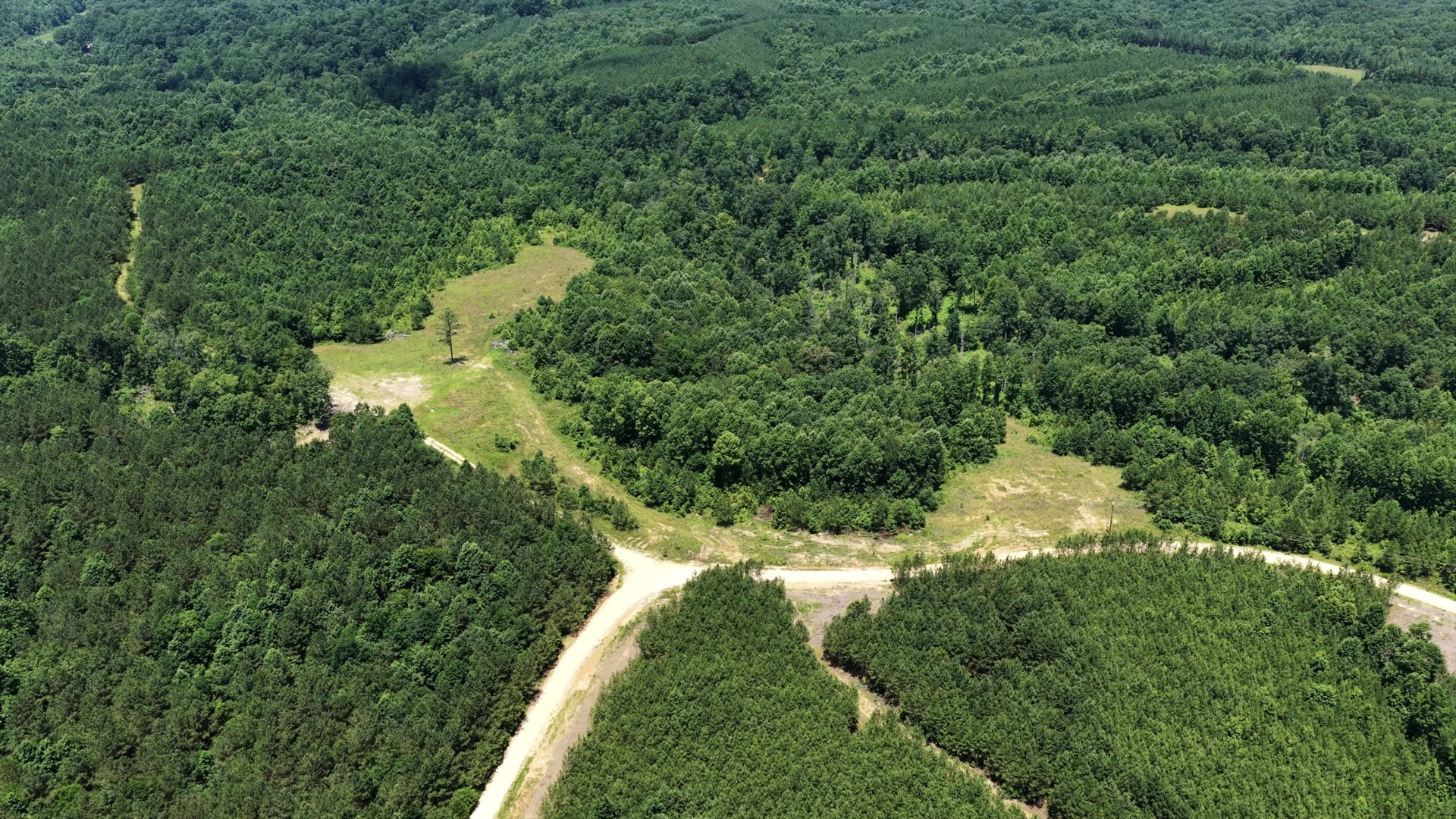 0 Cox Hollow Property Photo 17