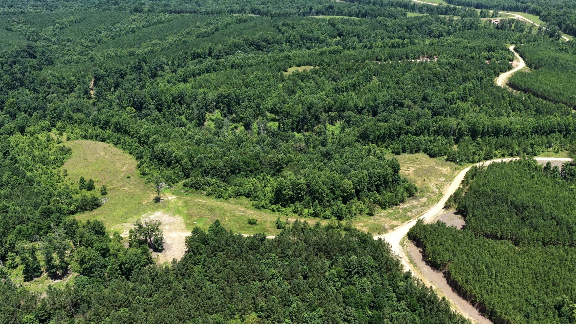 0 Cox Hollow Property Photo 18