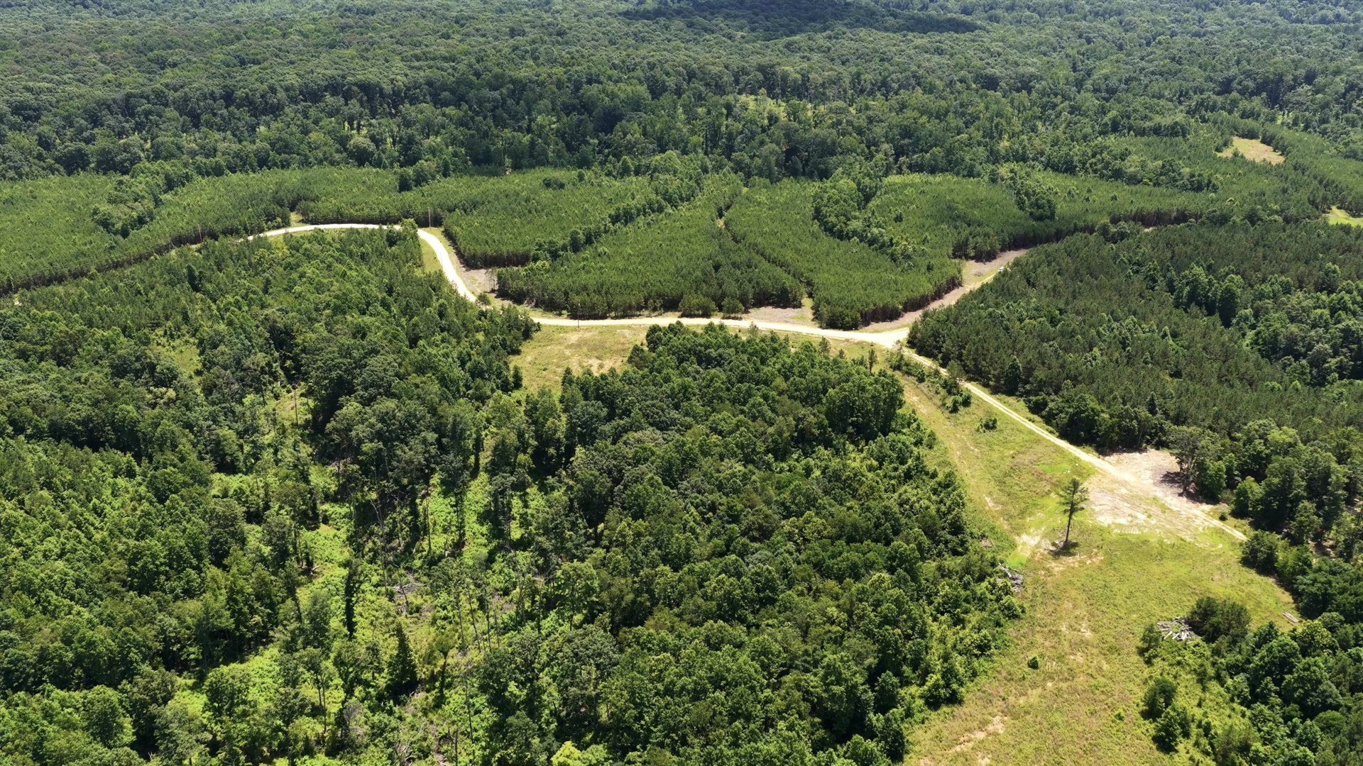 0 Cox Hollow Property Photo 19