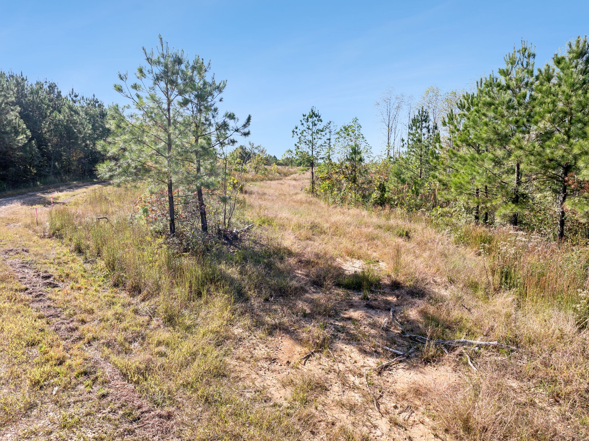 0 Cox Hollow Property Photo 51