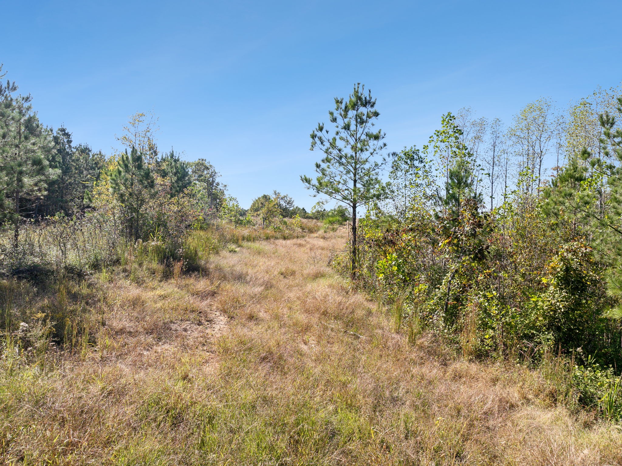 0 Cox Hollow Property Photo 52